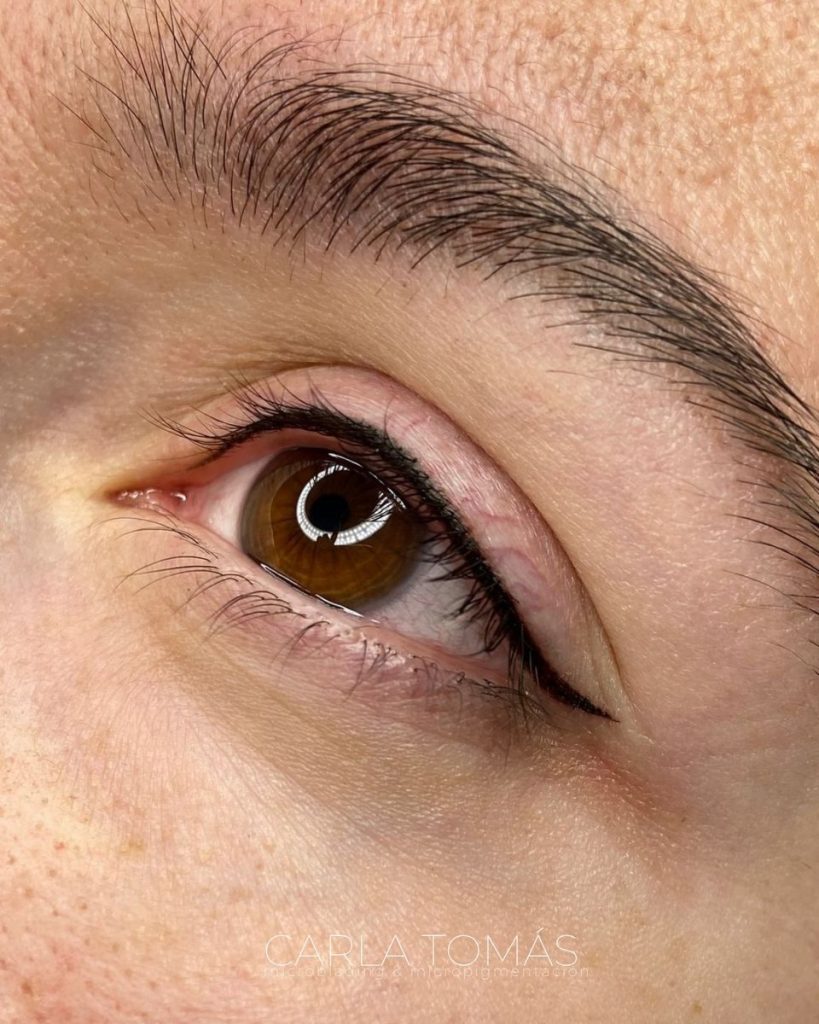 Micropigmentación de eyeliner efecto delineado en Calamocha, Carla Tomás